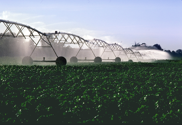 Ejemplo de agricultura intensiva y de alta productividad: Pivote central en operación en un cultivo de algodón.