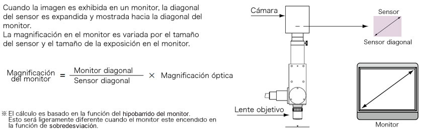 Monitor Magnification