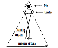 Ojo / Lentes / Lentes / Objeto / Imagen virtual